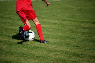 爱游戏官网-中国篮球职业联赛俱乐部青训体系建设与实践探索，篮球青年训练营